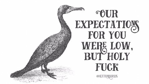 “OUR Nie EXPECTATIO™ 445 i FOR YOU 7 WERE LOW, BUT HOLY