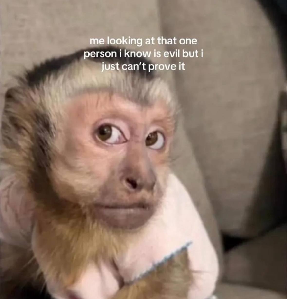 me looking at that one person i know is evil but i just can’t prove it
