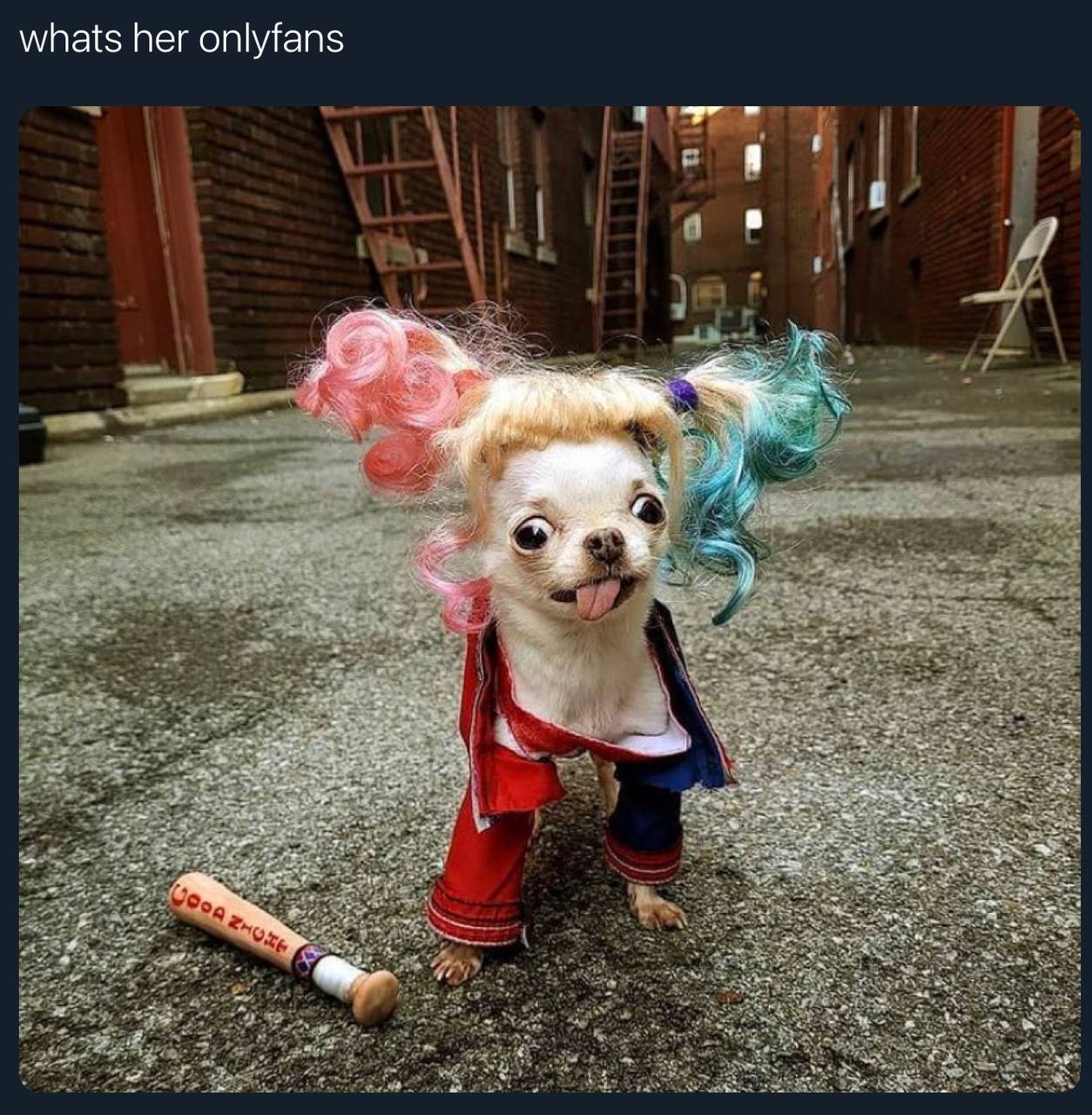 no
