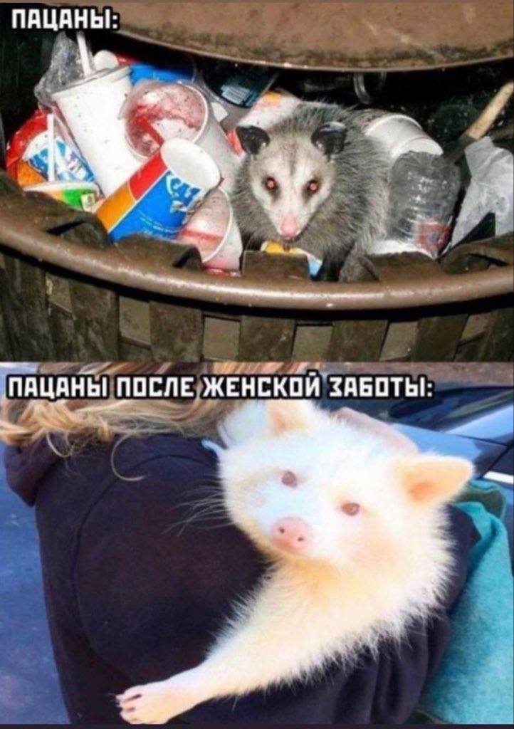 aN “A ПАЦАНЫ ПОСЛЕ ЖЕНСКОЙ ЗАБОТЫ: