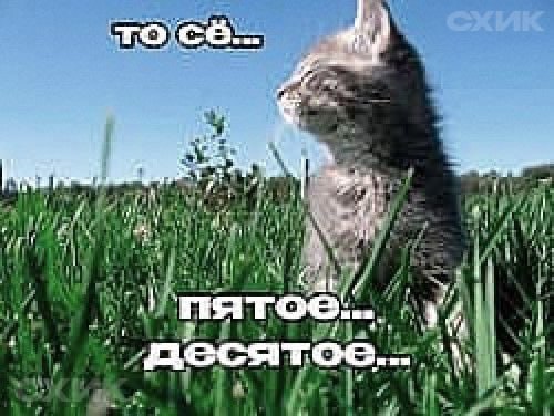 Toc 9 a" 1 1 десятое... i i