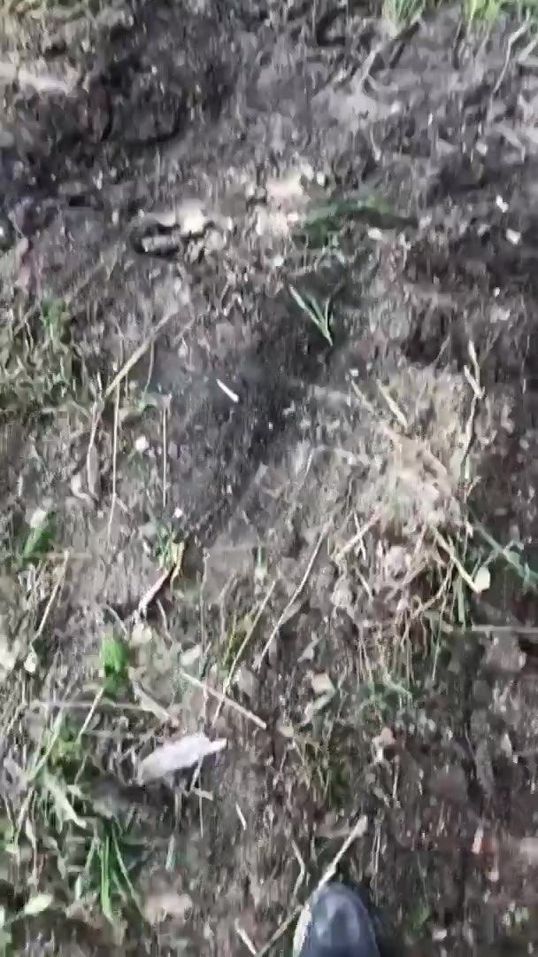 у у a A 6 И у BRS у: 1 7 у