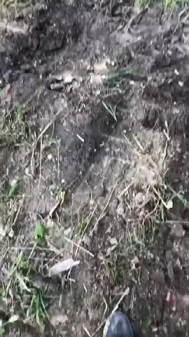 у у a A 6 И у BRS у: 1 7 у
