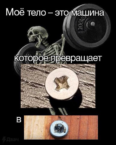 Мое тело это машина которое превращает