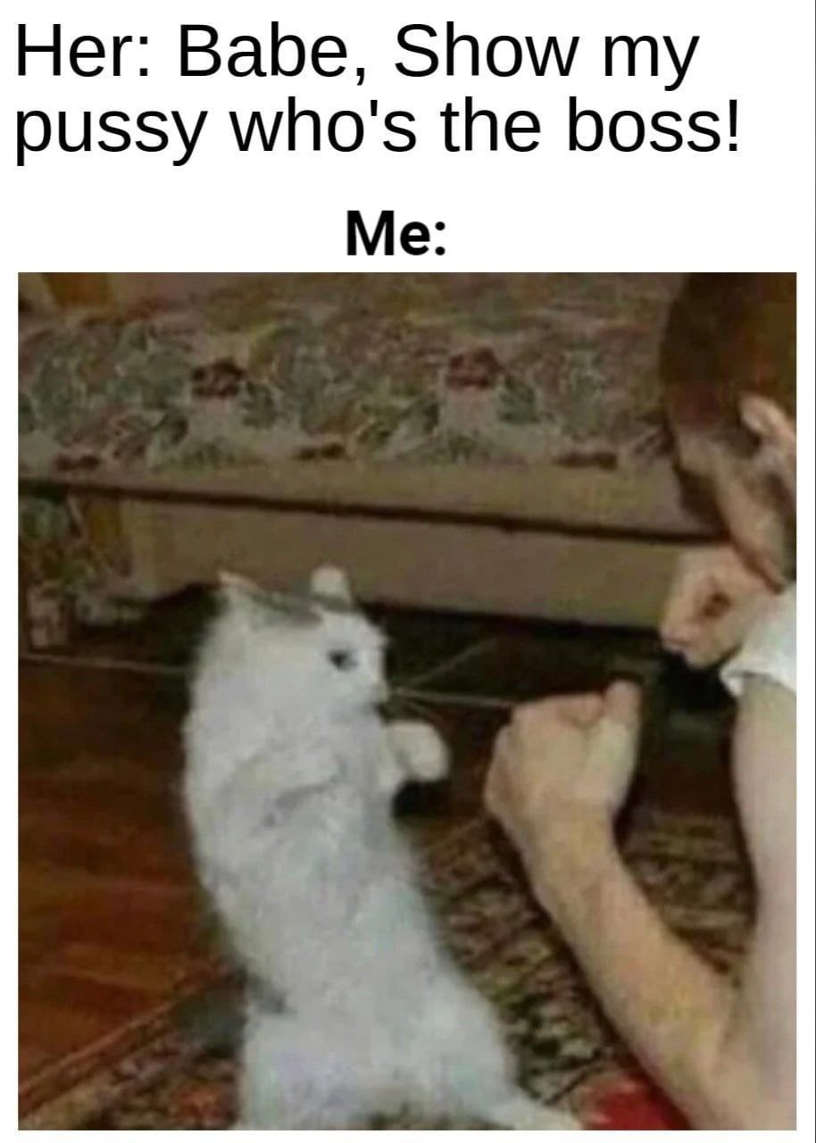 Her: Babe, Show pussy who's the boss! Me: