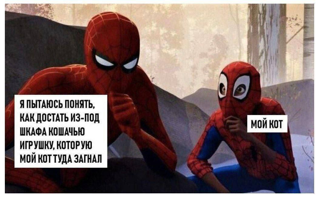 0) Я ПЫТАЮСЬ ПОНЯТЬ, КАК ДОСТАТЬ ИЗ-ПОД ШКАФА КОШАЧЬЮ ИГРУШКУ, КОТОРУЮ МОЙ KOT ТУДА ЗАГНАЛ