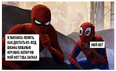 0) Я ПЫТАЮСЬ ПОНЯТЬ, КАК ДОСТАТЬ ИЗ-ПОД ШКАФА КОШАЧЬЮ ИГРУШКУ, КОТОРУЮ МОЙ KOT ТУДА ЗАГНАЛ