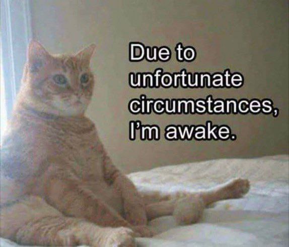 Due to unfortunate circumstances, awake.