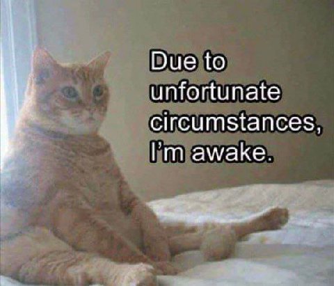 Due to unfortunate circumstances, awake.