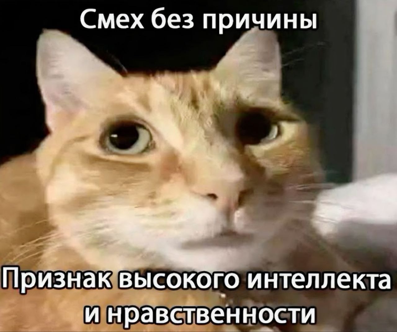 Смех без причины We Признак высокого интеллекта и нравственности