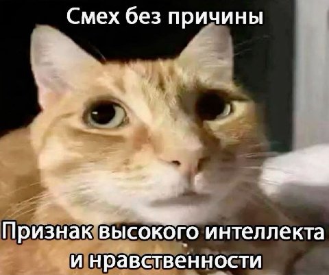 Смех без причины We Признак высокого интеллекта и нравственности