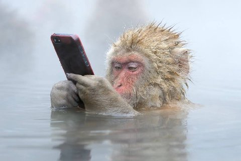 я в ванной пытаюсь переключить бесячий трек мокрыми пальцами