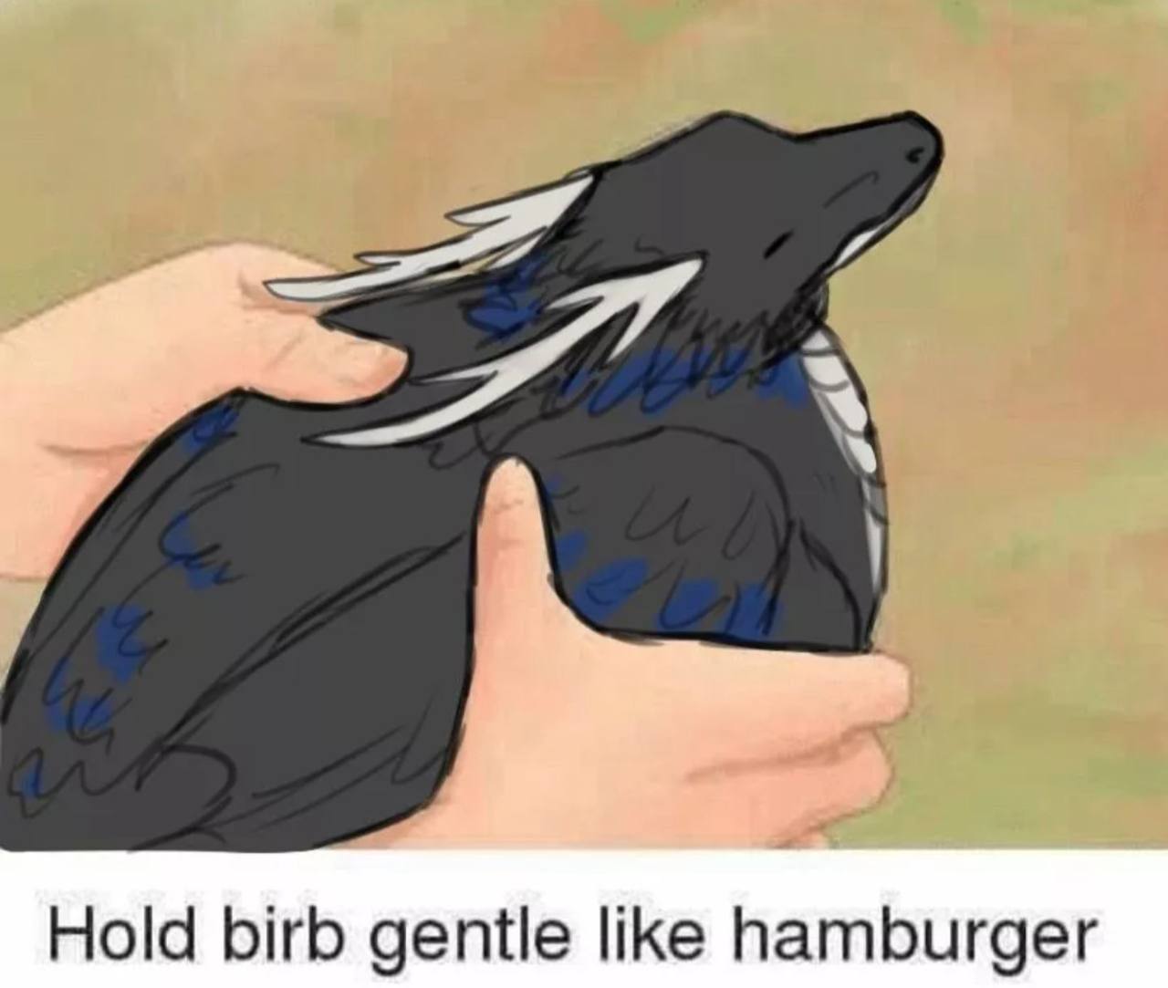 Hold birb gentle like hamburger