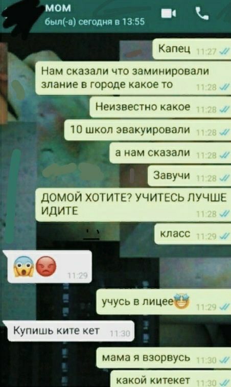 MOM сегодня в 13:55 Нам сказали что заминировали злание в городе какое то 10 школ эвакуировали ДОМОЙ ХОТИТЕ? УЧИТЕСЬ ЛУЧШЕ ИДИТЕ