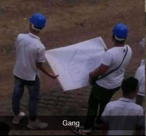 Gang