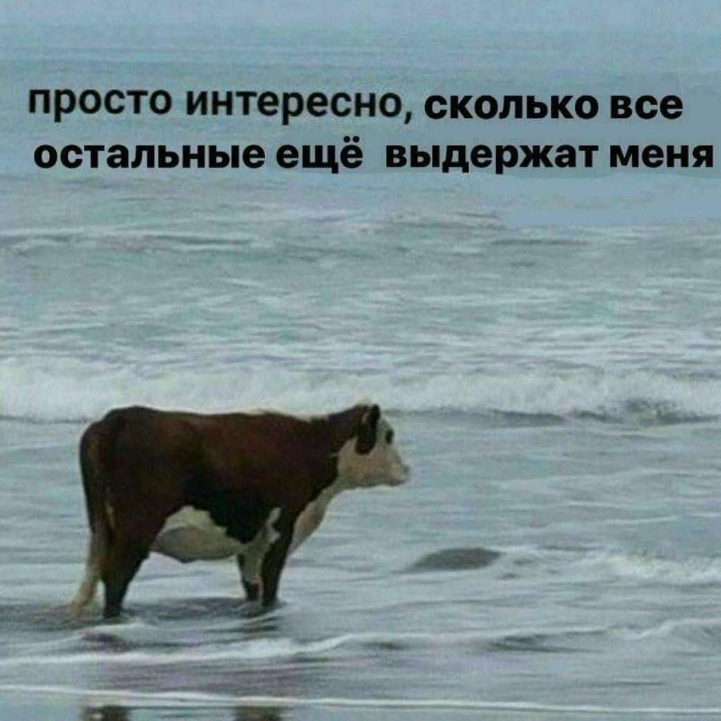 просто интересно, сколько все остальные ещё выдержат меня я. a