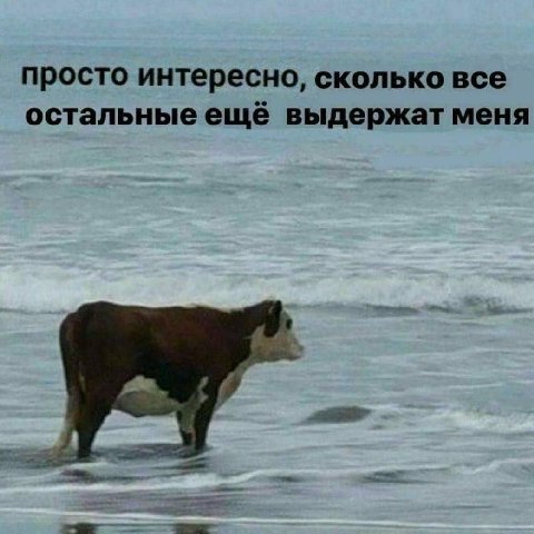 просто интересно, сколько все остальные ещё выдержат меня я. a
