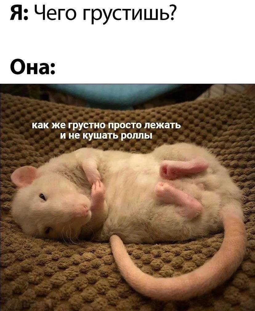 Я: Чего грустишь? Она: как же грустно просто лежать и не кушать роллы