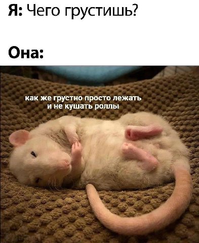 Я: Чего грустишь? Она: как же грустно просто лежать и не кушать роллы