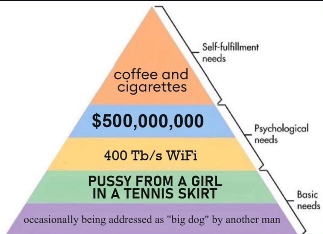 Self-fulfillment needs Psychological needs WiFi needs