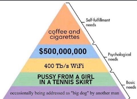 Self-fulfillment needs Psychological needs WiFi needs