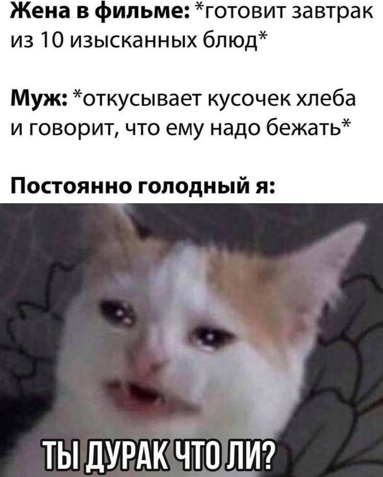 Жена в фильме: *готовит завтрак из 10 изысканных блюд* Муж: *откусывает кусочек хлеба и говорит, что ему надо бежать* Постоянно голодный я: ТЫ ДУРАКЧТО ЛИ?