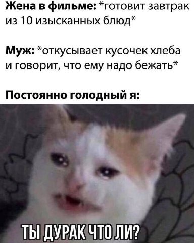Жена в фильме: *готовит завтрак из 10 изысканных блюд* Муж: *откусывает кусочек хлеба и говорит, что ему надо бежать* Постоянно голодный я: ТЫ ДУРАКЧТО ЛИ?