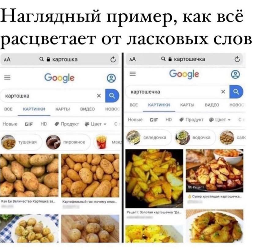 Наглядный пример, как всё расцветает от ласковых слов С картошка с, С картошечка Google Google картошечка картошка BCE КАРТИНКИ КАРТЫ ВИДЕО BCE КАРТИНКИ КАРТЫ ВИДЕО HOBC Новые GIF HE Продукт Цвет туше