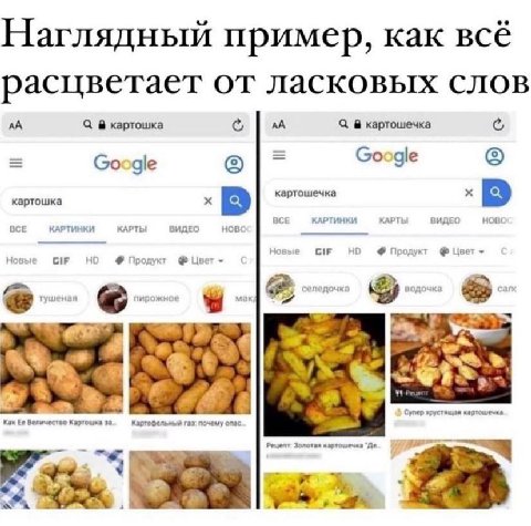 Наглядный пример, как всё расцветает от ласковых слов С картошка с, С картошечка Google Google картошечка картошка BCE КАРТИНКИ КАРТЫ ВИДЕО BCE КАРТИНКИ КАРТЫ ВИДЕО HOBC Новые GIF HE Продукт Цвет туше
