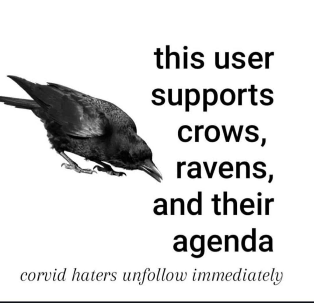 this user supports Crows, ravens, and their agenda corvid haters unfollow immediately