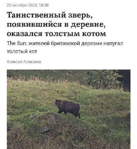 22 октября 2025, 18:08 Таинственный зверь, появившийся в деревне, оказался толстым котом The Sun: жителей британской деревни напугал толстый кот Алексей Алексеев