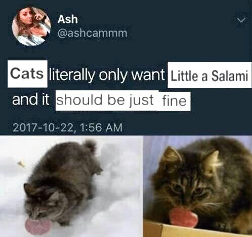 Ash @ashcammm опу Little a Salami be just fine 2017-10-22, 1:56 A