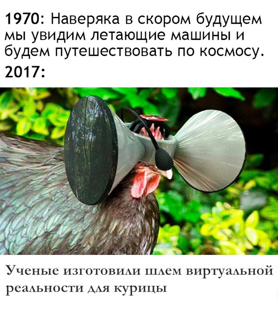 1970: Наверяка в скором будущем мы увидим летающие машины и будем путешествовать по космосу. 2017: IS a 2% Vif А Ученые изготовили шлем виртуальной реальности для курицы