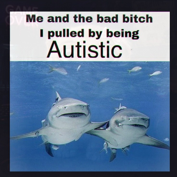 Me and the bad bitch pulled being Autistic
