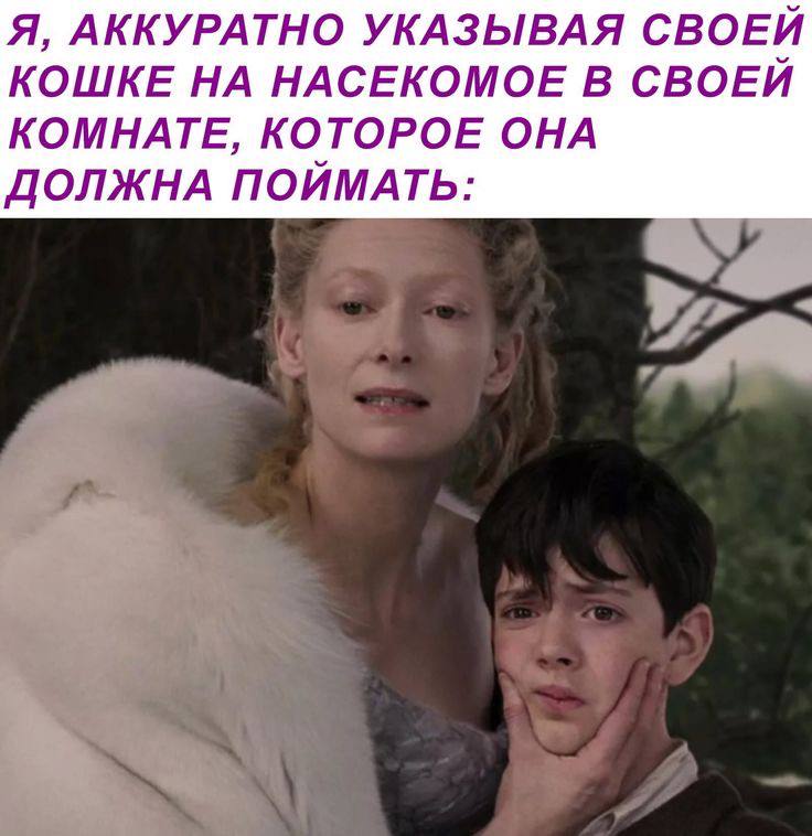 Я, АККУРАТНО УКАЗЫВАЯ СВОЕЙ КОШКЕ НА НАСЕКОМОЕ В СВОЕЙ КОМНАТЕ, КОТОРОЕ ОНА ДОЛЖНА ПОЙМАТЬ: