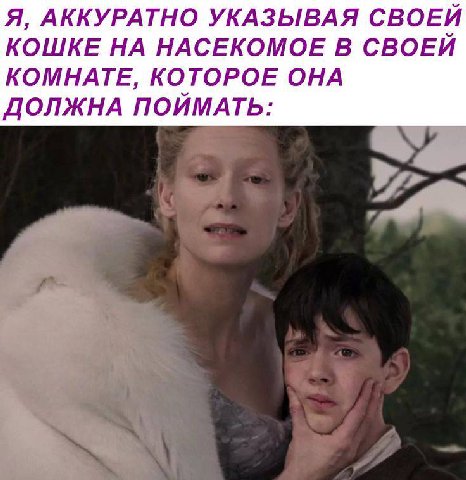 Я, АККУРАТНО УКАЗЫВАЯ СВОЕЙ КОШКЕ НА НАСЕКОМОЕ В СВОЕЙ КОМНАТЕ, КОТОРОЕ ОНА ДОЛЖНА ПОЙМАТЬ: