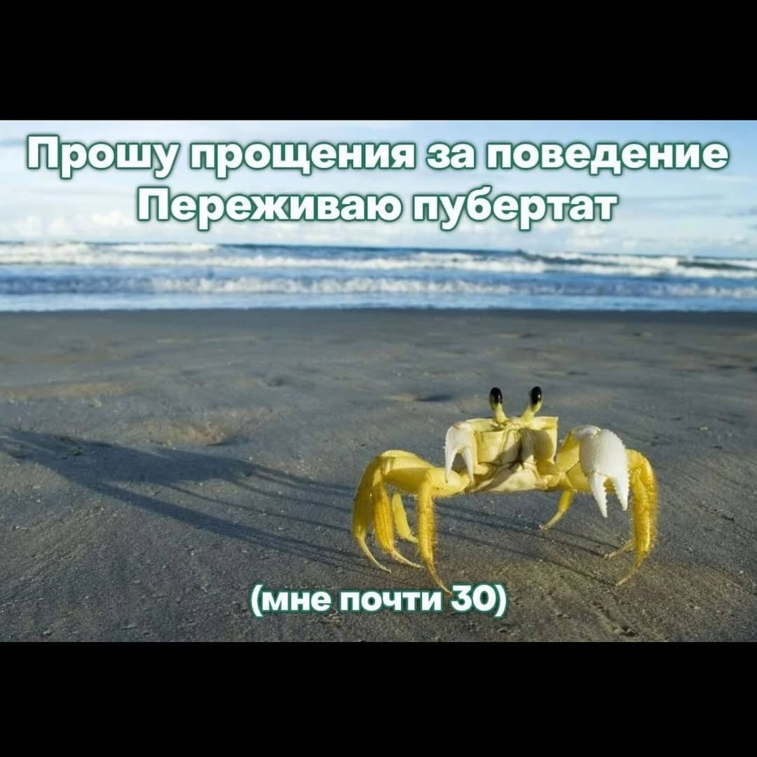 Прошу поведение ртат, А (мне почти $50)