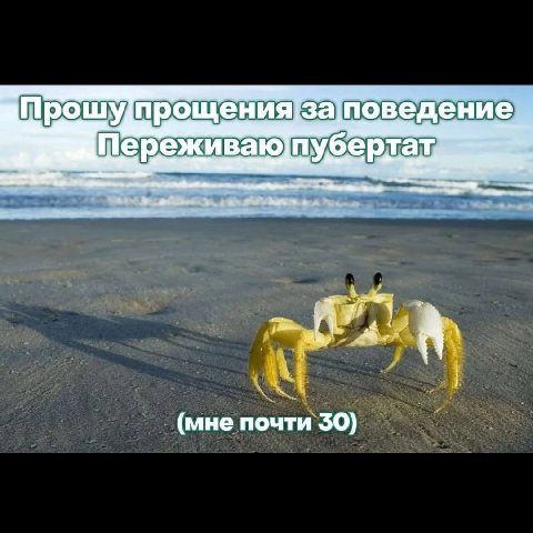 Прошу поведение ртат, А (мне почти $50)