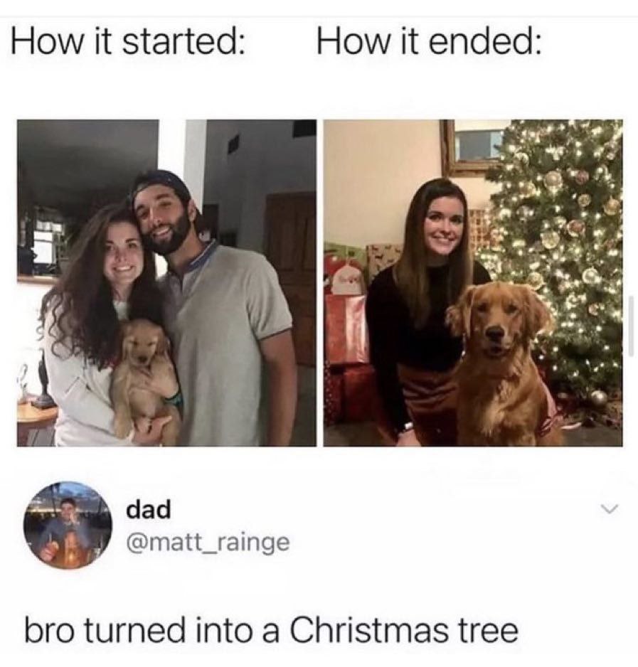 How it started: How К ended: А dad @matt_rainge bro turned into a Christmas tree