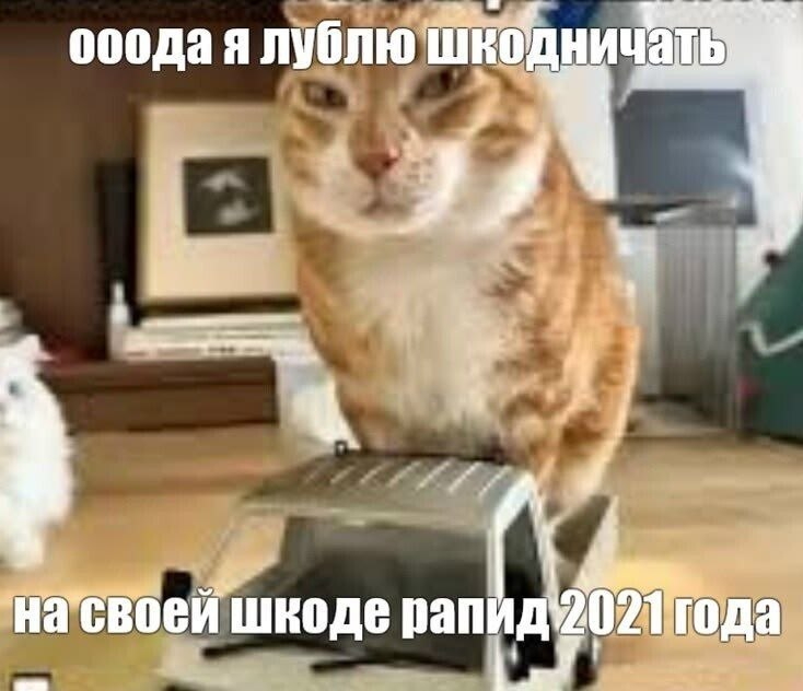 я 2 шкоде pan года