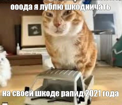 я 2 шкоде pan года