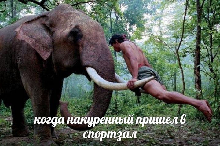 3 ager когда накуренный пришел 6 спортзал