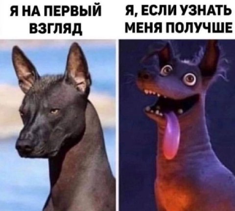 ЯНА ПЕРВЫЙ Я, ЕСЛИ УЗНАТЬ МЕНЯ ПОЛУЧШЕ ВЗГЛЯД