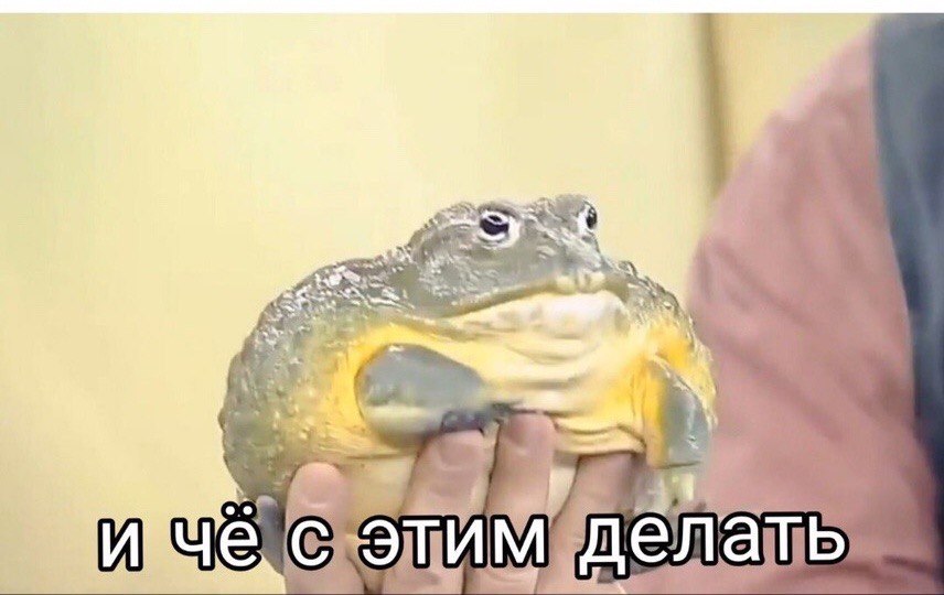 а ты a