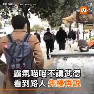 бикує без причини