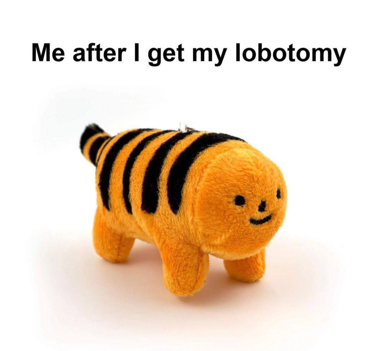 Me after get lobotomy