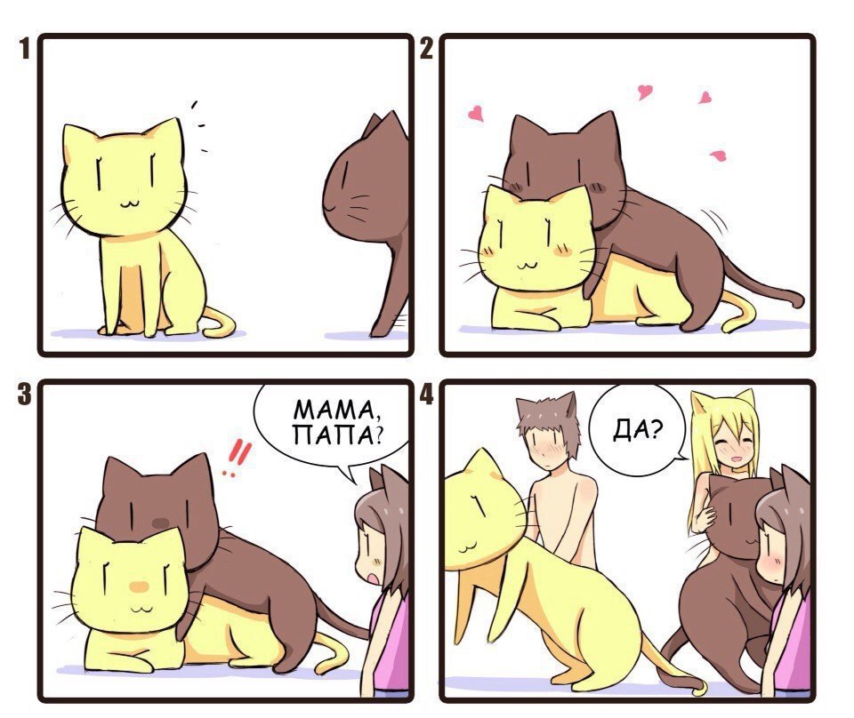 ПАПА? МАМА, 5 И