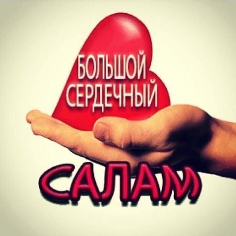 ОЛЬШОИ СЕРДЕЧНЫЙ