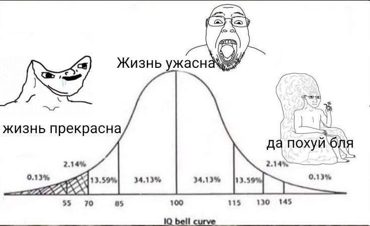 Жизнь ужасна жизнь прекрасна да похуй 2.14% 2.14% 0.13% 13.59% 34,13% 0.13% 2 55 100 115 130 145 70 85