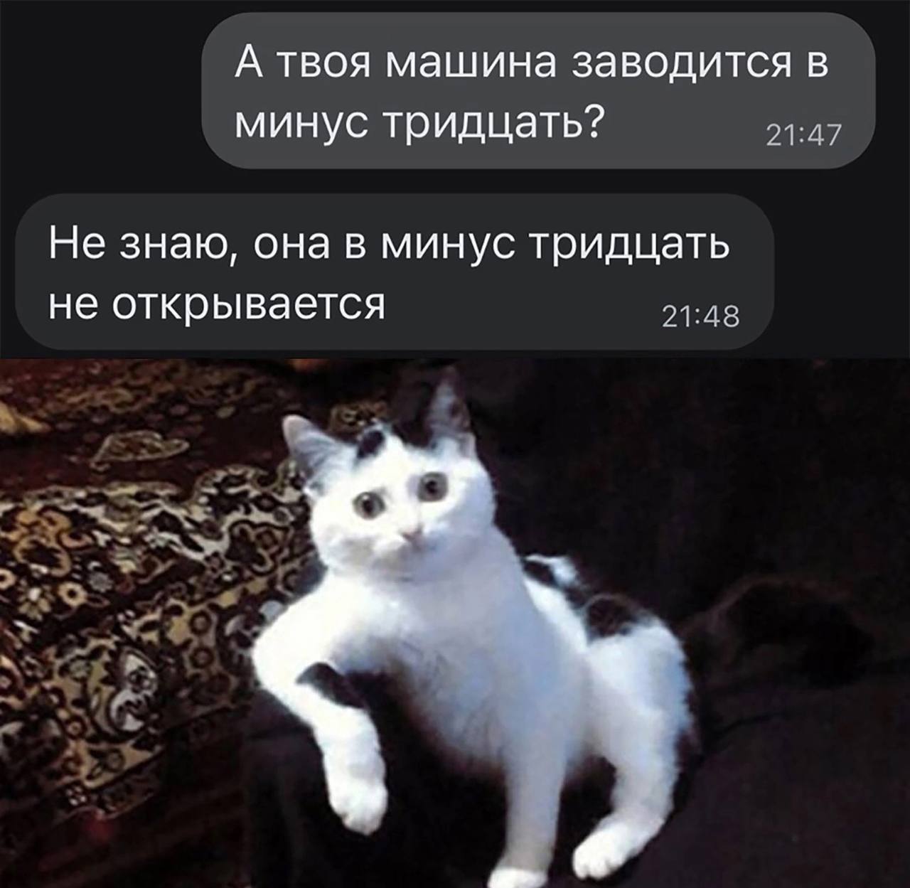 А твоя машина заводится в минус тридцать? 21:47 Не знаю, она в минус тридцать не открывается 21:48